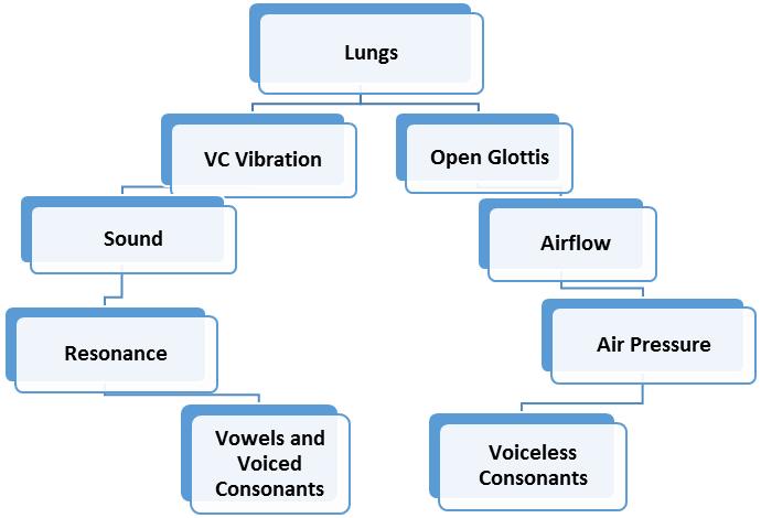 Resonance and Airflow for Speech Resonance Resonance for speech results from the modification of the sound that is generated from the vocal cords through selective enhancement of the frequencies.