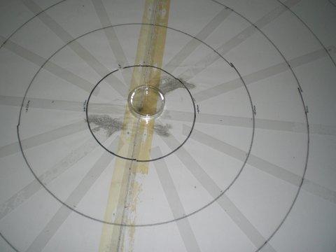 distilled water were released in the rain tower on to the dish containing the spore suspension and drop splashes caught on the surrounding melinex strips (Fig. 4).