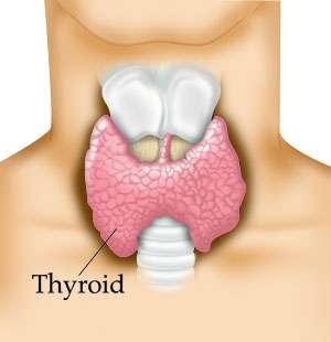 Answers to 5 Common Thyroid Questions http://www.grassfedgirl.com/answers-to-5-common-thyroid-questions/ This is a guest post from Dr.