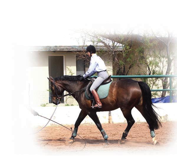 Rider & Horse Back to Back lower legs to automatically slide forward while your knees come up.