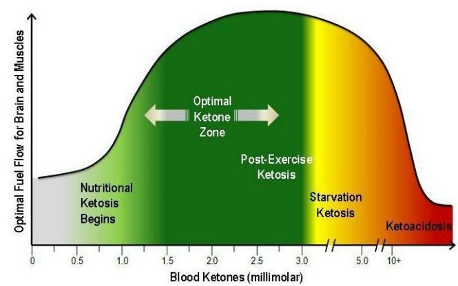 BLOOD VALUE RANGES Nutritional Ketosis ~ 0.5-3 mmol/l http://www.