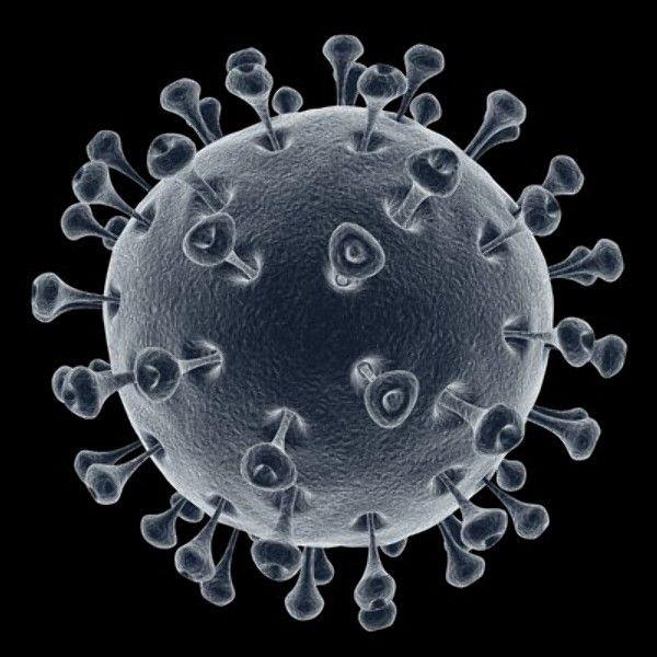 Hemopurifier in vitro capture validations Chronic & Latent Viruses Human Immunodeficiency Virus (HIV)