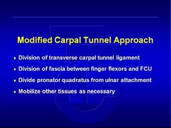 Distal Radius Dissection - Carpal Tunnel.