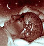 The Pineal Gland A. Located deep within the brain B.