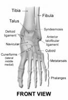 Tarsal tunnel syndrome Ankle & Foot: Normal Ankle: Aspiration/Injection Summary Question 1 Soft tissue pain syndromes are among the most common reasons patients seek medical attention.