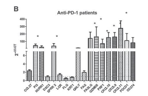 Genetic Profile of PD-1i Rash is Similar to SJS/TEN Genes upregulated