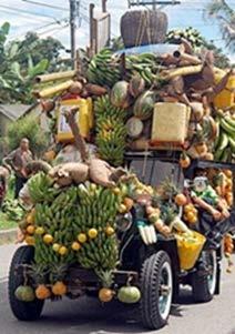 FSMA: Sanitary Transportation of Food Persons engaged in food