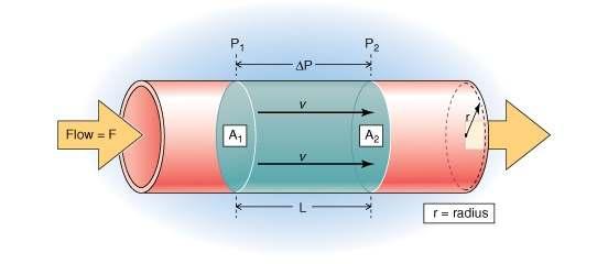 Coronary Circulation Ohm s Law: F = ΔP R
