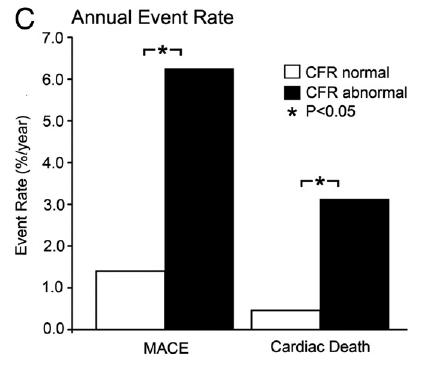 Coronary flow in the evaluation of