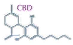 GWP42006 (CBDV) CBDV is similar in chemical structure to CBD CBDV has shown anti-epileptic properties across a range of in vitro and in vivo models of epilepsy CBDV strongly suppressed