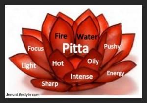 1.3.2 PITTA Pitta is the energy of metabolism and digestion in the body. It governs all processes related to conversion and transformation throughout the mind and body.