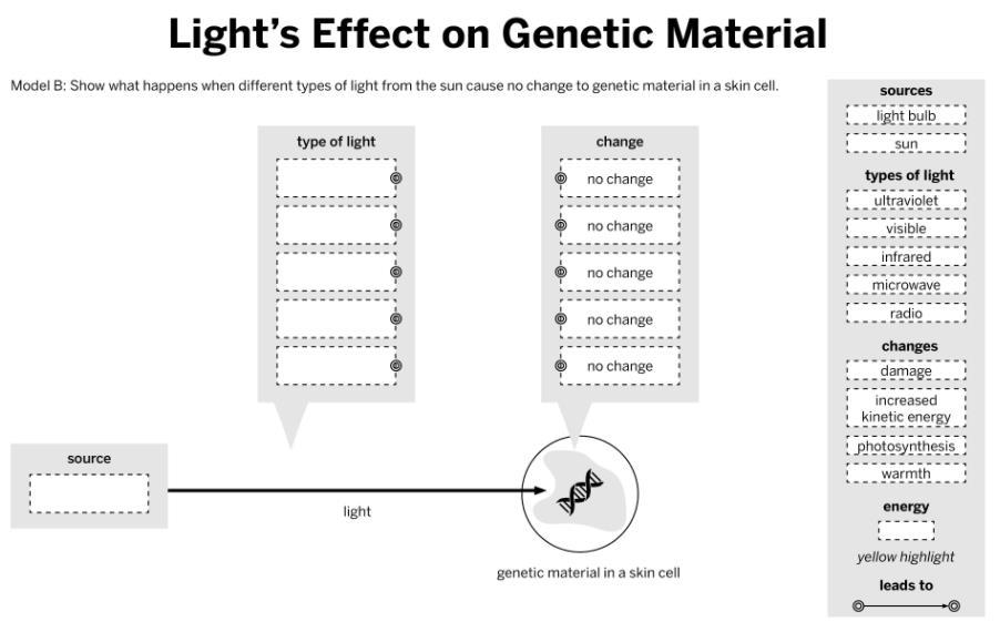You will use Model B (on the second page) to show types of light that cause no change to genetic