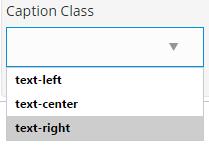 19. Ruangan Caption adalah arahan agar jika mana-mana pengunjung laman web meletakkan kursor tetikus pada imej berkenaan, satu ayat/kapsyen akan dipaparkan berdekatan kursor tersebut.