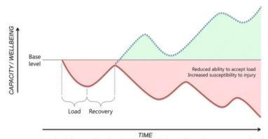 stimulus that is applied to a human biological system. External Load: Any external stimulus applied to the athlete that is measured independently of the response of the athlete.