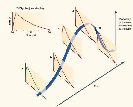 Intensity 2) Timing at which activity in a particular cortical region contributes to a given task Single-pulse (high temporal resolution but need to know where & when!