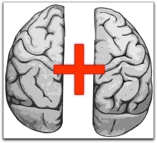 The Corpus Callosum connects the two
