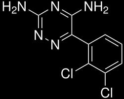 Diol, Carbamazepine Epoxide, Ethosuximide, Felbamate, Gabapentin, Lacosamide, Lamotrigine,