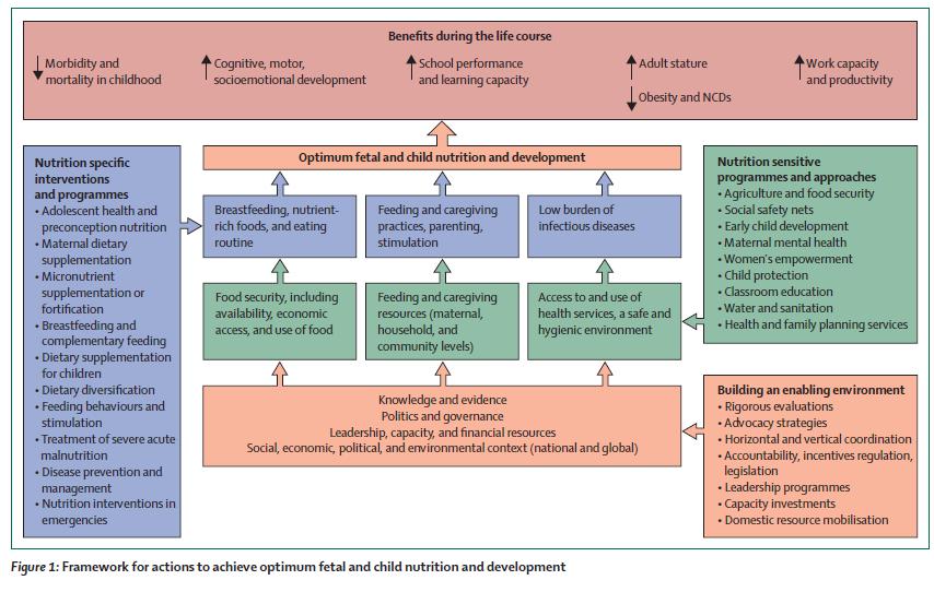 Multisectoral approach to intervention for nutrition and