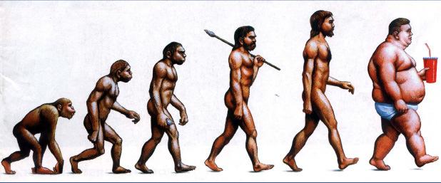 Evolution of