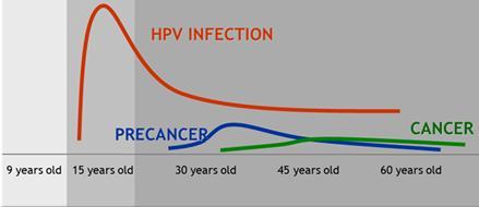 Comprehensive approach: Programmatic interventions over the life course to prevent HPV infection and cervical cancer PRIMARY PREVENTION SECONDARY PREVENTION TERTIARY PREVENTION Girls 9-13 years HPV