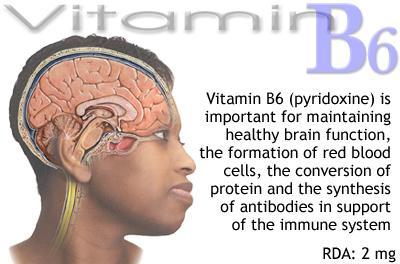 Male Female Total Vitamin B6 Intake mg/d 1.2 1.