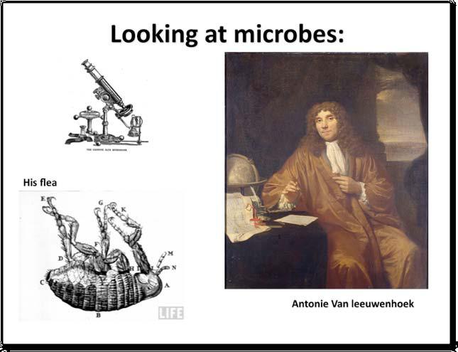 LESSON MATERIALS The development of the microscope: The story of Antonie van Leeuwenhoek Although lenses have been used for magnification since ancient times, it was not until relatively recently