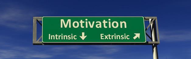 Emotional Intelligence Motivation: Being driven to succeed for the sake of achievement (intrinsic motivation)