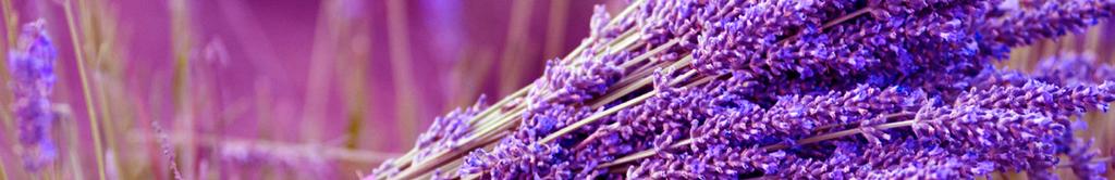 EPOCH LAVENDER ESSENTIAL OIL The natural, floral aroma of Epoch Lavender Essential Oil provides a sense of tranquility and peace.