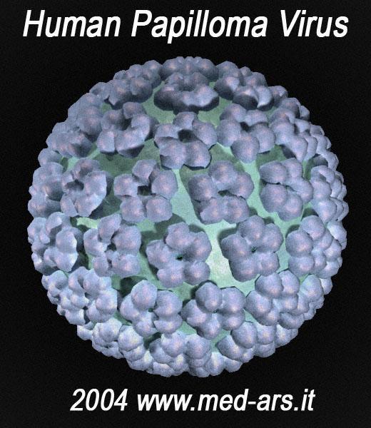Vaccine as Primary Prevention HPV causes cervical, anal cancer