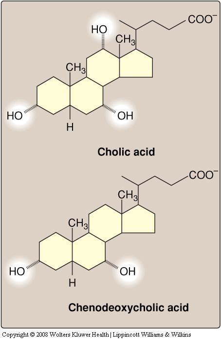 Degradation of Cholesterol The ring structure of cholesterol cannot