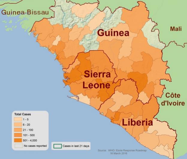 2016 Flare Ups Sierra Leone January 2016 2 cases Guinea & Liberia March 2016 13 cases >1200 contacts