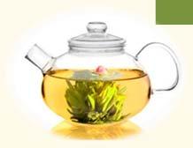 Green Tea Extract Salt What patients want to know Is there a diet for MS?