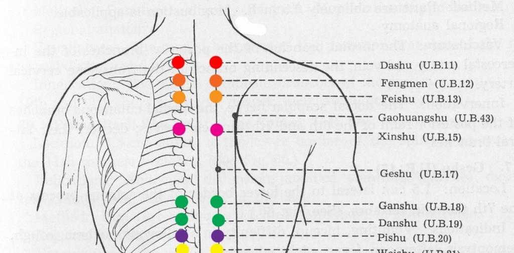 Spinal Autonomic Balance Useful for: Post-Stroke, MS Migraine