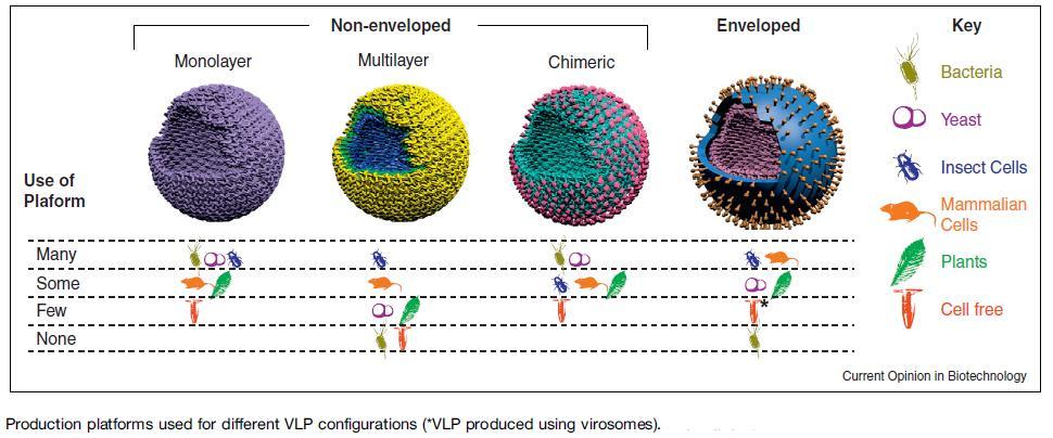 Virus-like particles