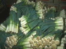 35. LEEK (Allium Ampeloprasum Porrum) Leeks are members of the same family as onions and garlic and possess similar healing qualities, only in a much milder form.