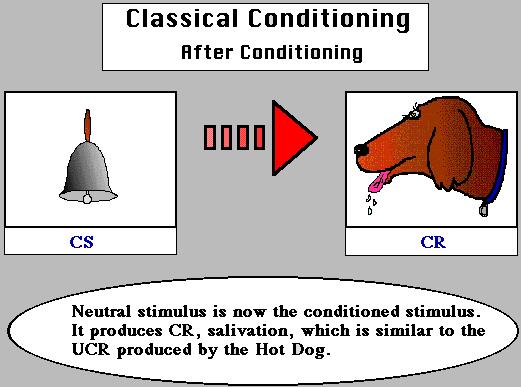 Classical conditioning CS: Conditioned
