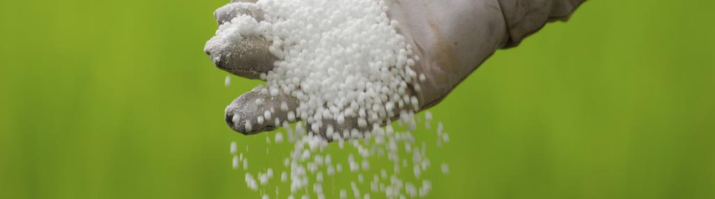 Zinc Fact Sheet: Zinc Fertilizer Overview Introduction Zinc is an essential micronutrient for the growth and development of plants, animals and human beings.