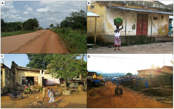 Scenes of the degraded infrastructure of the Guinea forest region.