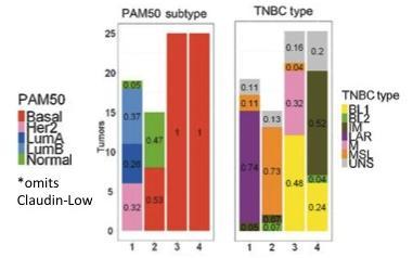 TNBC Molecular Phenotypes by Molecular Profiling 4 clusters
