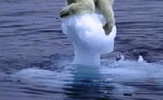 (more stampedes) Polar Bears Ice is hunting and