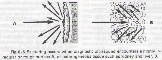 * Highly irregular interfaces and heterogeneous tissues result in scattering, as seen in figure (12-5).
