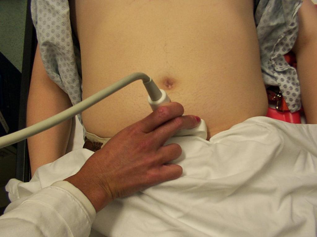Pelvic (Suprapubic or Bladder) View Probe should be placed in the suprapubic position Full bladder is window Helpful to
