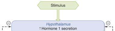 Regulation of hypothalamic and pituitary