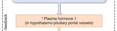 from the hypophysiotropic hormone (hormone