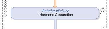 which in turn affects the secretion of a