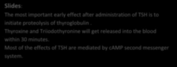 During the digestion of the thyroglobulin, MIT and DIT released from thyroglobulin are not secreted into the blood in large amounts.