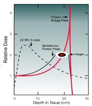 Proton Therapy: Fundamental Physics Conventional beam therapy delivers X-ray radiation along entire path through patient, and maximal dose in front of the tumor Photons interact with matter (tissue)