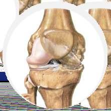 00 Title Lunch Dr Samir Shah Dr Vipul Mandalia Dr Ajit Patil Dr T Saito CME : Joint Preservation - Hip and Knee - Getting Closer To The Ideal To 15.35 14.05 14.20 14.35 14.50 15.05 15.35 16.05 18.