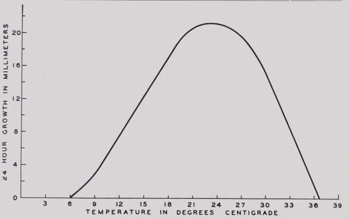 Fig. 4. Temperature curve for Cephalothecium roseum, representing growth increment for a twenty-four hour period.