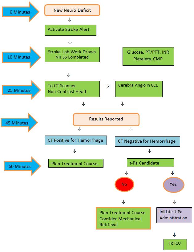 Figure 1. A Stroke Algorithm for the Cardiac Cath Lab The stroke team responders should be notified when the symptoms are evident and the patient will require assessment for critical deficits.